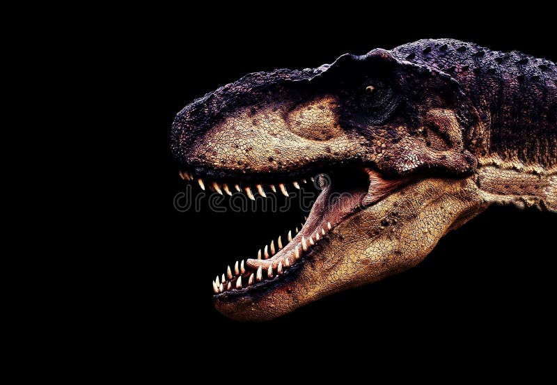 Large dinosaur head on black background