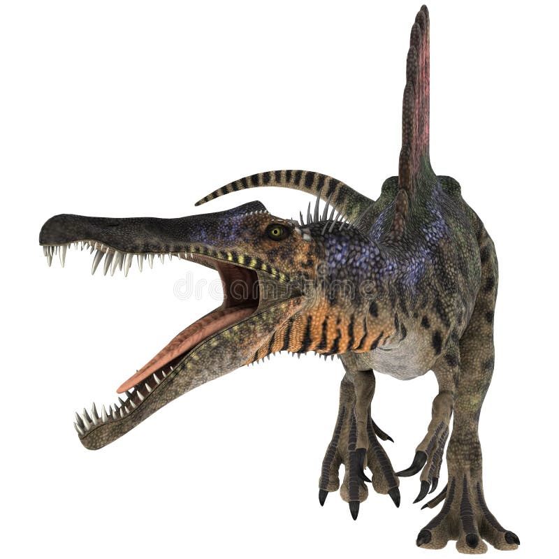 dinosaur with a spiny back