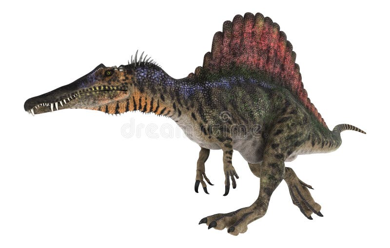dinosaur with a spiny back