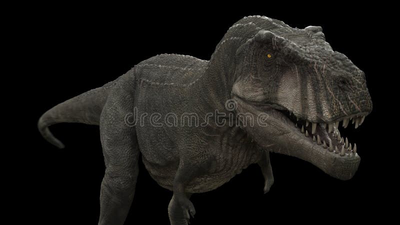 Animated Tyrannosaurus Rex Dinosaur Running Loop - Download Free