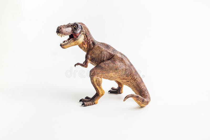 Dinosaur , T-rex , Tyrannosaurus on white background royalty free stock images Dinosaur , T-rex , Tyrannosaurus on white background royalty free stock images