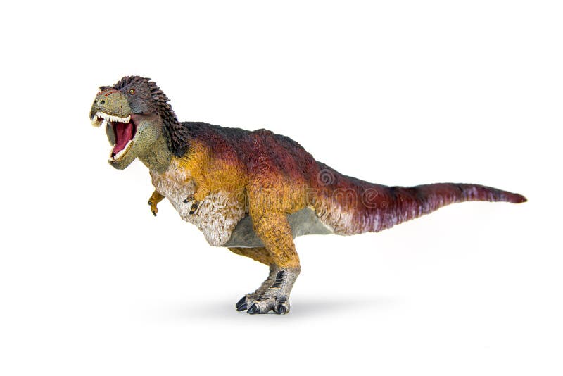 Dinosaur Tyrannosaurus rex t-rex feathered covered is threaten to roar isolated on white background. Dinosaur Tyrannosaurus rex t-rex feathered covered is threaten to roar isolated on white background.