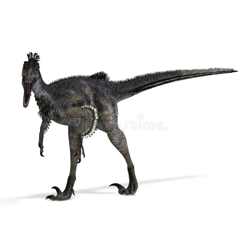 Dinosaur Velociraptor