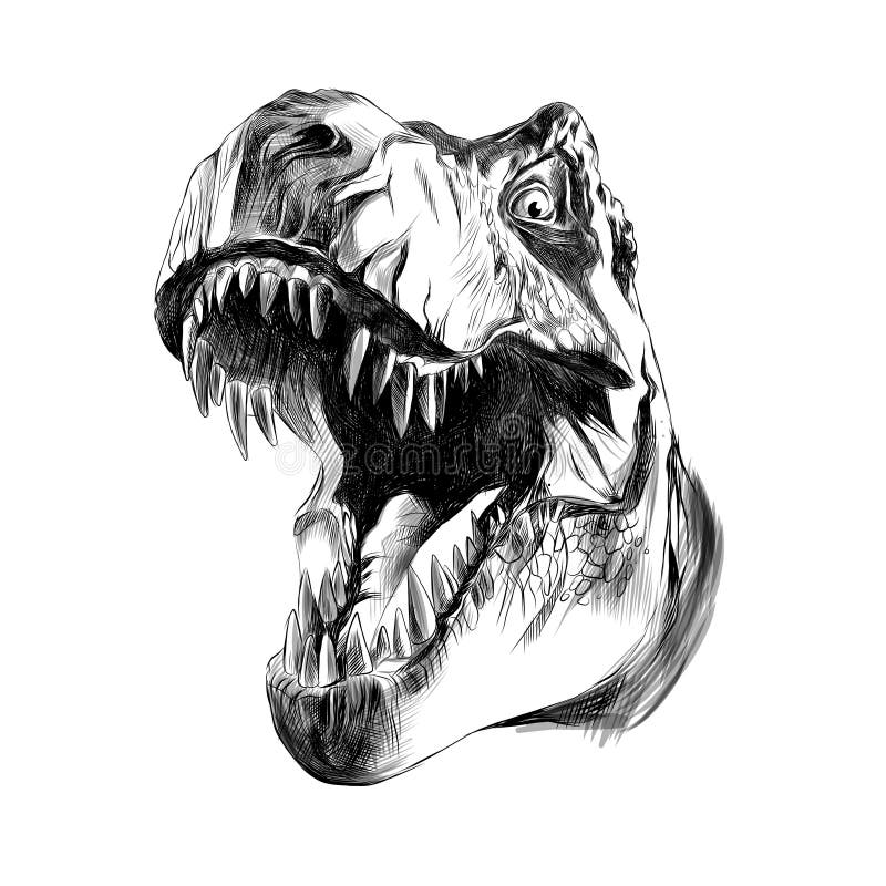 Dinosaur head Tyrannosaurus Rex with open mouth, black and white pattern vector. Dinosaur head Tyrannosaurus Rex with open mouth, black and white pattern vector