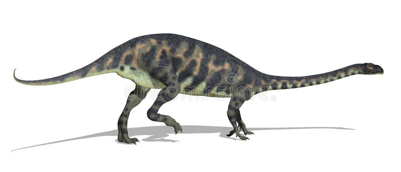 The Massospondylus dinosaur lived in South Africa during the early Jurassic Period - 3D render. The Massospondylus dinosaur lived in South Africa during the early Jurassic Period - 3D render.