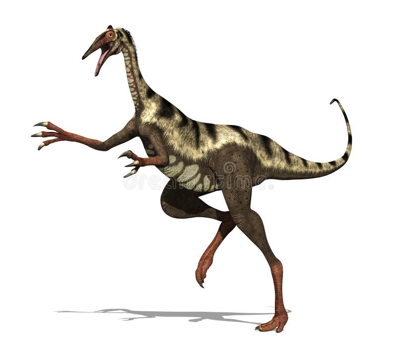 The pelicanimimus was a small dinosaur (6.5 - 8 feet long) that lived during the Early Cretaceous period - 3d render. The pelicanimimus was a small dinosaur (6.5 - 8 feet long) that lived during the Early Cretaceous period - 3d render.