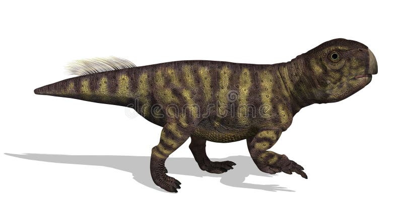 3D render of a psittacosaurus (meaning parrot Lizard) who lived in the Early Cretaceous Period. This dinosaur was about four feet tall. 3D render of a psittacosaurus (meaning parrot Lizard) who lived in the Early Cretaceous Period. This dinosaur was about four feet tall.