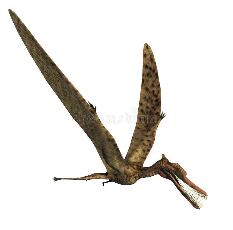 dinosaura zhenyuanopterus ilustracja wektor dinosaura zhenyuanopterus ilustracja wektor