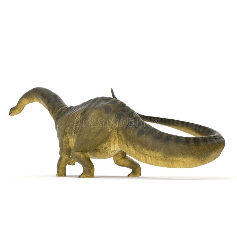 Dinosaure d'Apatosaurus sur le blanc illustration 3D illustration de vecteur Dinosaure d'Apatosaurus sur le blanc illustration 3D illustration de vecteur