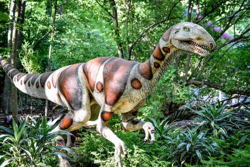 Dinosaure d'Utahraptor - zoo du comté de Milwaukee images stock Dinosaure d'Utahraptor - zoo du comté de Milwaukee images stock