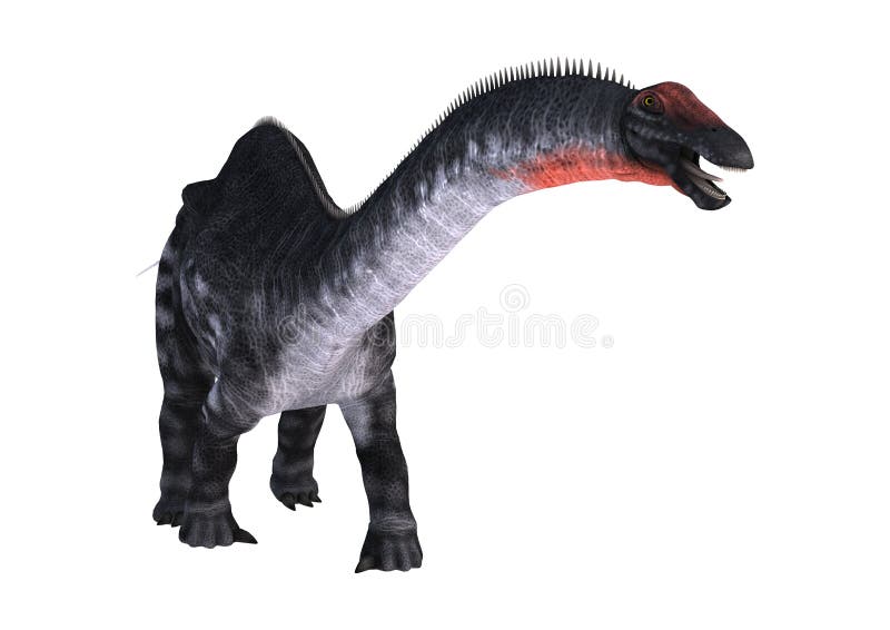 dinosaurieApatosaurus för tolkning 3D på vit stock illustrationer dinosaurieApatosaurus för tolkning 3D på vit stock illustrationer