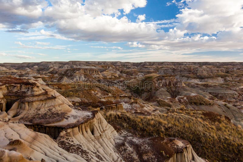 Dinosaur Provincial Park - Alberta, Kanada stockfotos