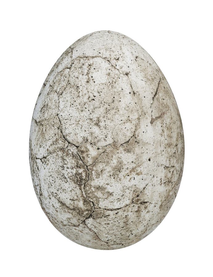 Dinosaurierei lizenzfreies stockbild