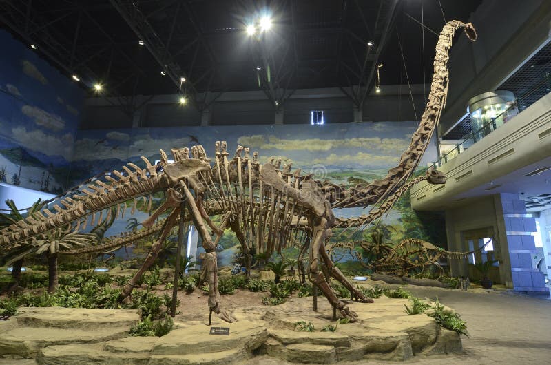 Dinosaurierfossil stockfotografie