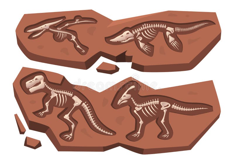  Dinosaurio Arqueológico. Cráneo De Historia Antigua Roca Reptil De Fósil Marino Enterrado Conjunto Exacto De Dibujos Animados Vect Ilustración del Vector