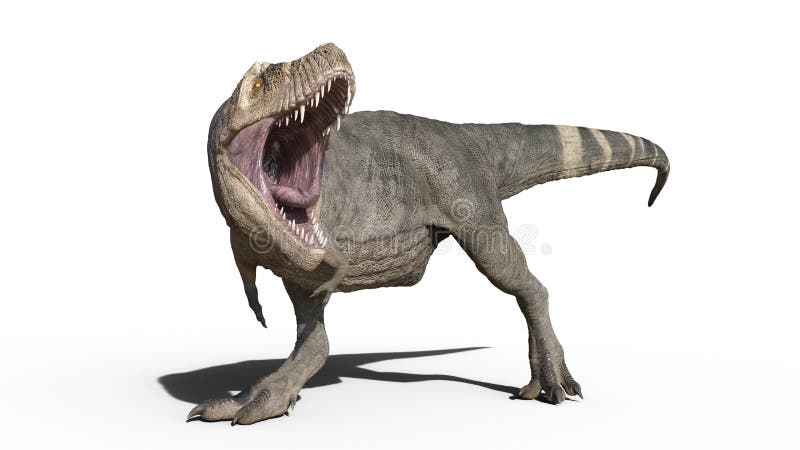 Dinosaurio de T-Rex, reptil que camina, animal jurásico prehistórico de Rex del tiranosaurio aislado en el fondo blanco, represen ilustración del vector Dinosaurio de T-Rex, reptil que camina, animal jurásico prehistórico de Rex del tiranosaurio aislado en el fondo blanco, represen ilustración del vector