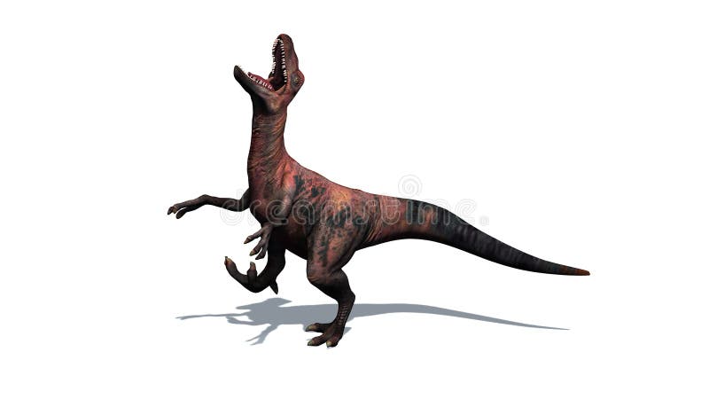 Dinosaurio - Velociraptor - aislado en el fondo blanco libre illustration Dinosaurio - Velociraptor - aislado en el fondo blanco libre illustration