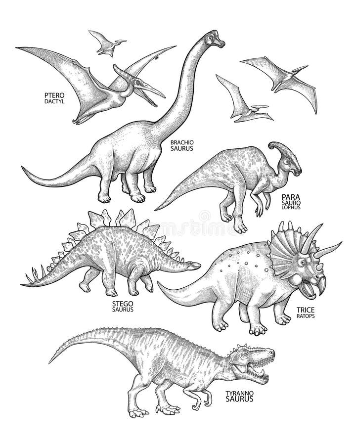 Dinosaurios Gráficos Realistas Ilustración del Vector - Ilustración de libro, reptil: 110190334 Dinosaurios Gráficos Realistas Ilustración del Vector - Ilustración de libro, reptil: 110190334