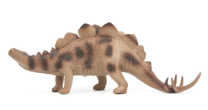 Dinosauro di stegosauro isolato immagine stock libera da diritti