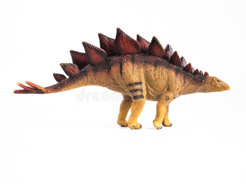 Dinosauro di stegosauro su fondo bianco fotografia stock libera da diritti