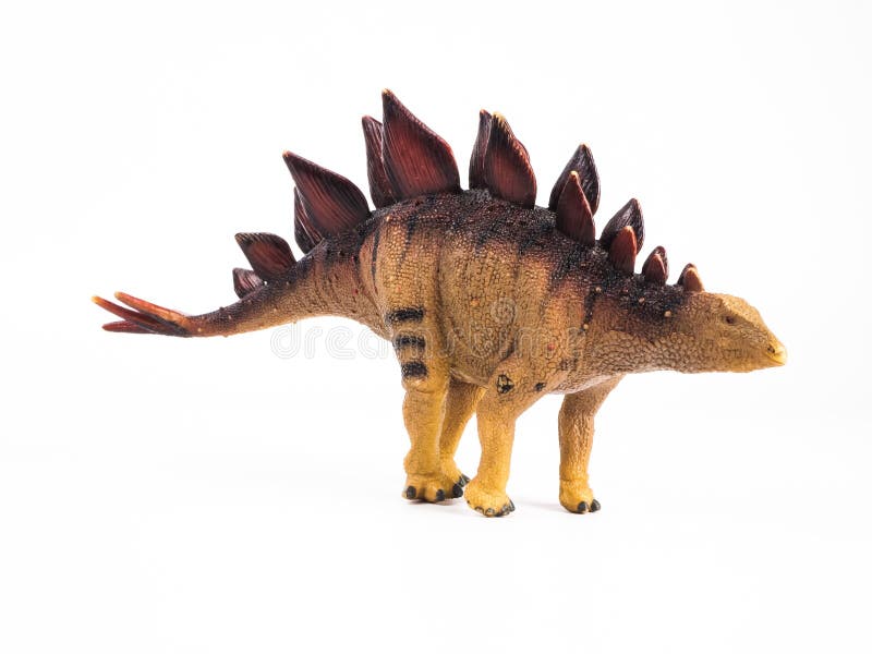 Dinosauro di stegosauro su fondo bianco fotografia stock libera da diritti