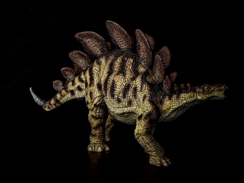 Dinosauro di Stegosauro su fondo nero fotografie stock