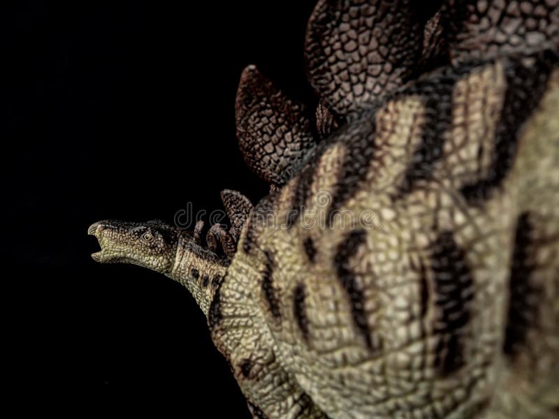 Dinosauro di Stegosauro su fondo nero fotografie stock libere da diritti