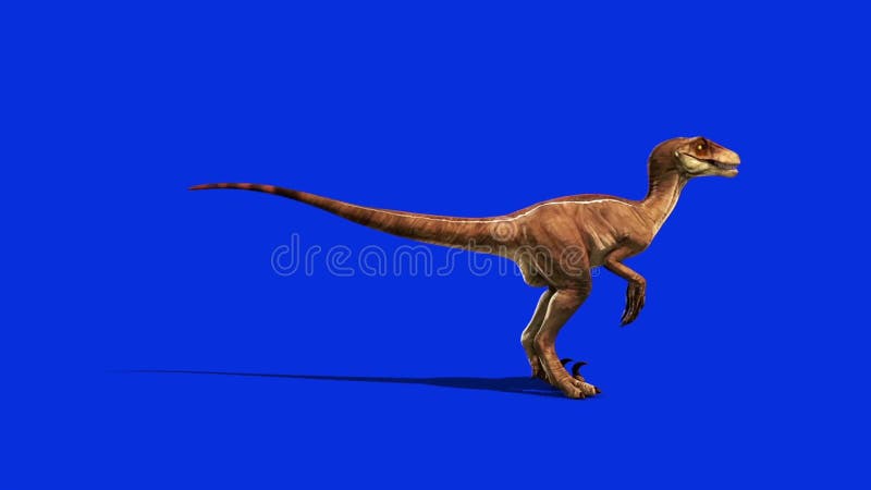 (4K) Velociraptor Running Across Screen Roar 1