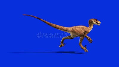 (4K) Looping Velociraptor Running 2