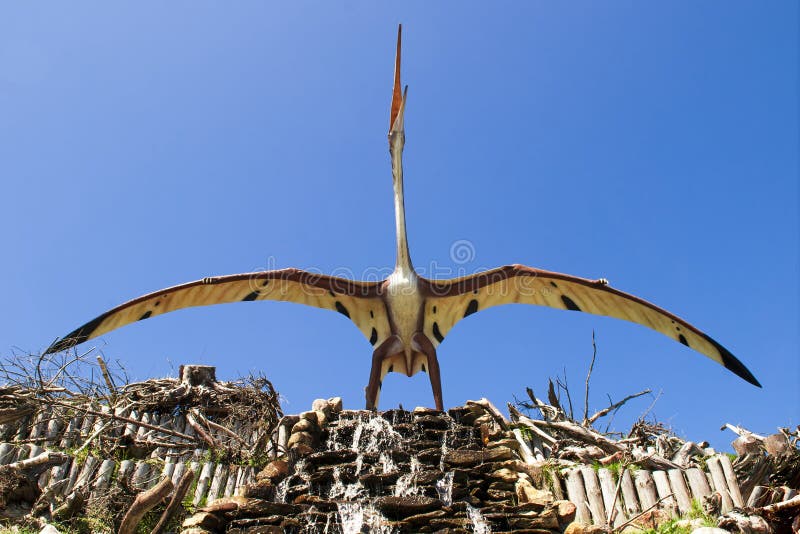Pterossauros: 4 tipos de répteis voadores