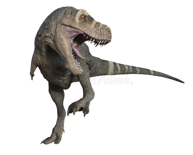 Rex Dinossauro Esqueleto Ilustração Vetor imagem vetorial de 2S-Design©  394359130