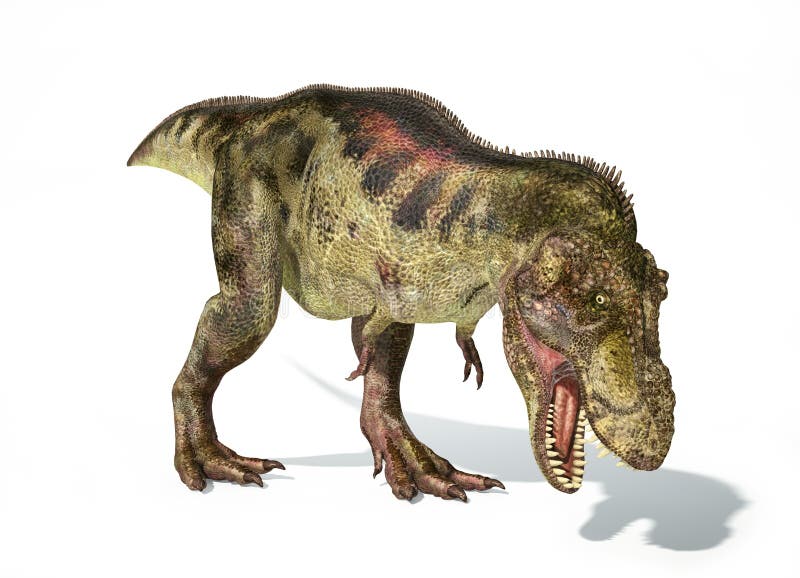 Dinossauro de Rex do tiranossauro, representação photorealistic. Dynam ilustração royalty free Dinossauro de Rex do tiranossauro, representação photorealistic. Dynam ilustração royalty free