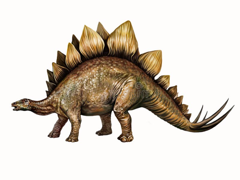 Cor de dinossauro estegossauro desenho herbívoro selvagem antigo isolado no  fundo branco