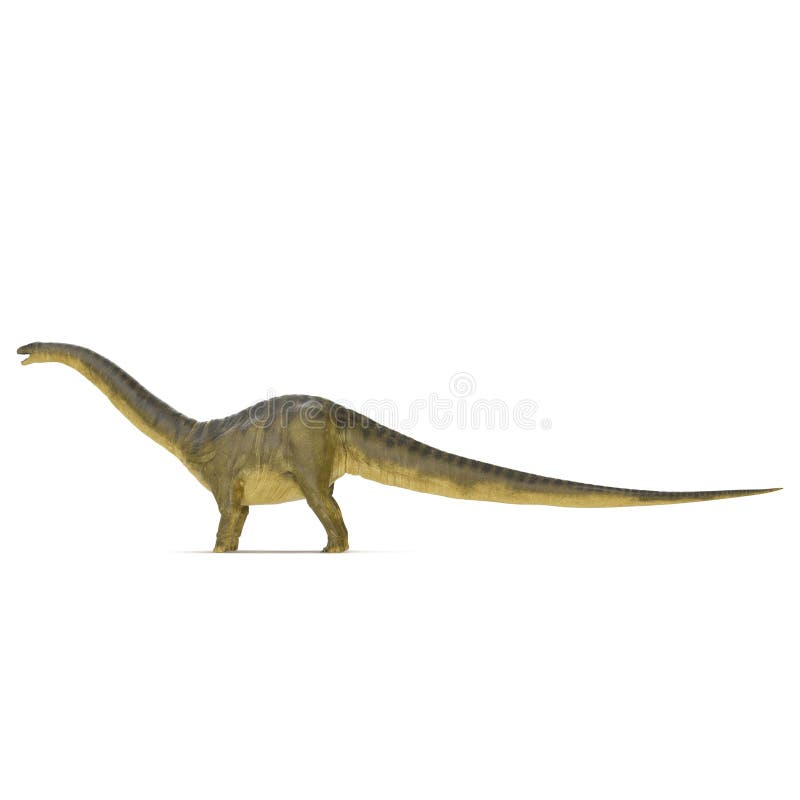 Dinossauro do Apatosaurus no branco Vista lateral ilustração 3D ilustração stock Dinossauro do Apatosaurus no branco Vista lateral ilustração 3D ilustração stock