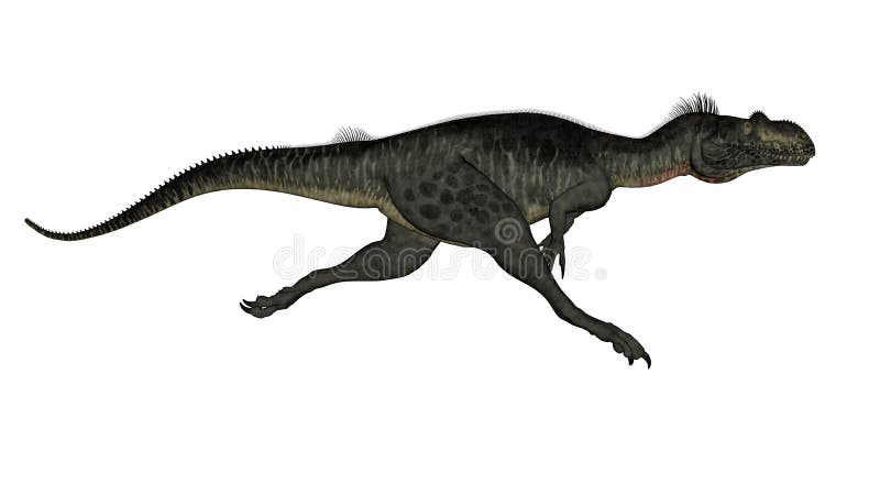 Megalossauro Dinossauro Do Período Jurássico Ilustração Stock
