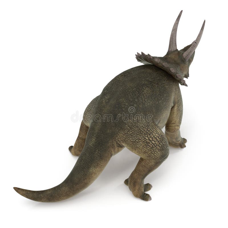 Dinossauro do Triceratops no branco ilustração 3D ilustração stock Dinossauro do Triceratops no branco ilustração 3D ilustração stock