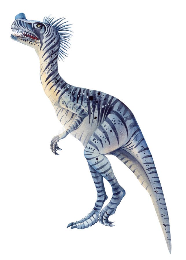 Dinossauro Realista De Aquarela Isolado Em Fundo Branco