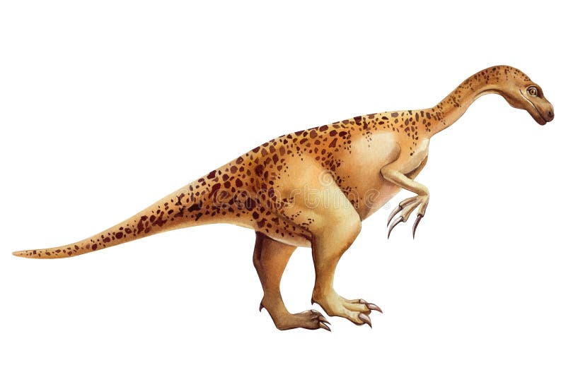 Dinossauro Realista De Aquarela Isolado Em Fundo Branco