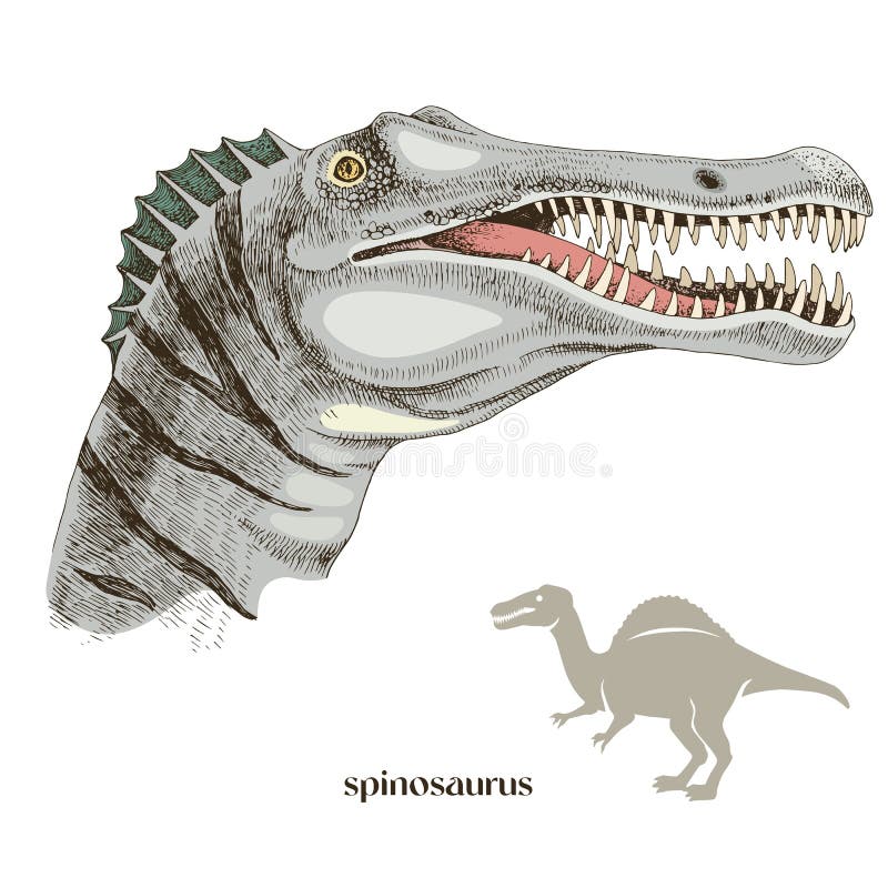 espinossauro para desenhar dinossauro realista 