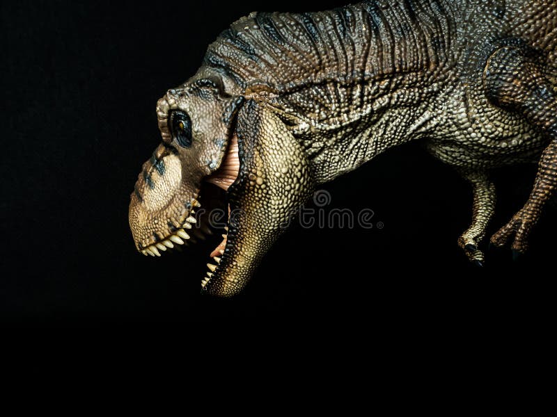 27.100+ Tiranossauro Rex fotos de stock, imagens e fotos royalty