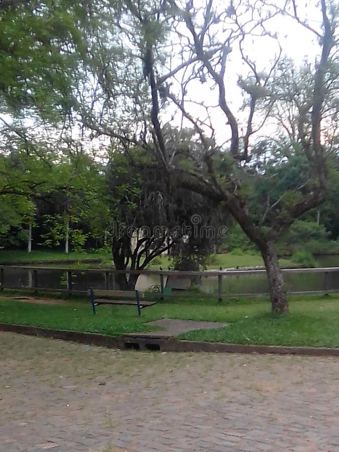 Dios mío Gracias por la naturaleza fotos de archivo libres de regalías Dios mío Gracias por la naturaleza fotos de archivo libres de regalías