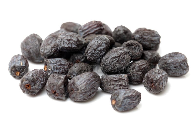 Diospyros lotus fotografia stock