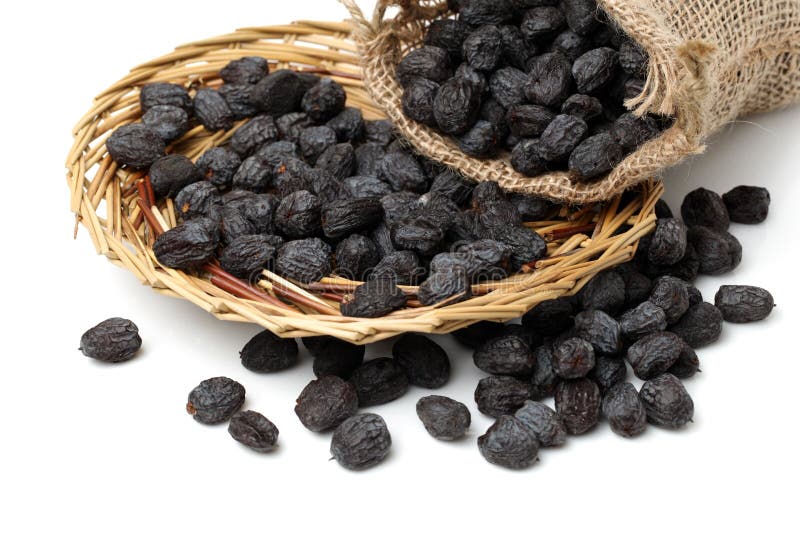 Diospyros lotus immagine stock libera da diritti