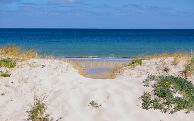 Dip in the Sand Dune royalty free stock images