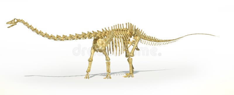 first full dinosaur skeleton