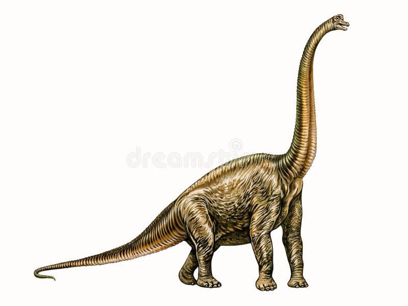 Desenho de Dinossauro Diplodoco pintado e colorido por Daviname o dia 23 de  Julho do 2015