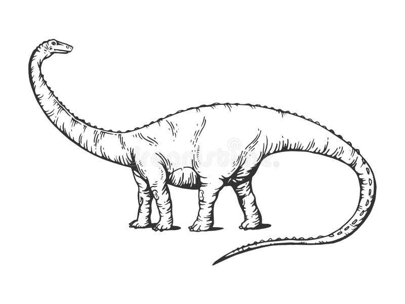 Diplodocusdinosaurus die vectorillustratie graveren royalty-vrije illustratie Diplodocusdinosaurus die vectorillustratie graveren royalty-vrije illustratie