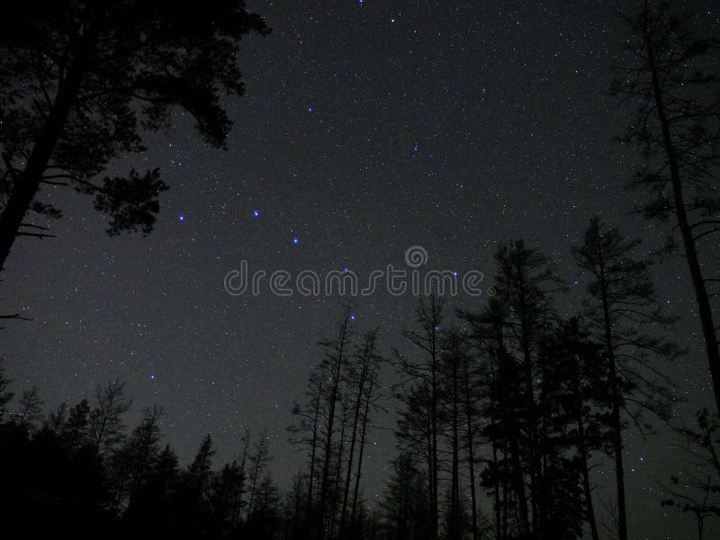 Night sky stars: Big Dipper constellation, Night forest atmosphere. Night sky stars: Big Dipper constellation, Night forest atmosphere.