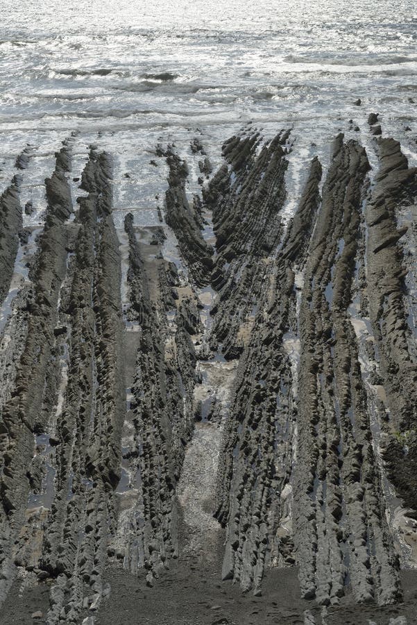 Dipping Rock Strata on Beach