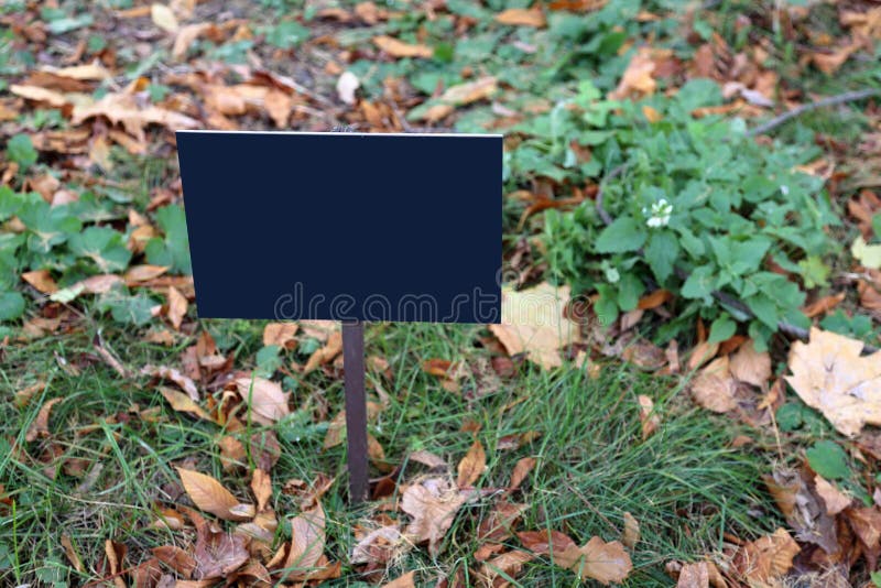 Direction Pointer without Words Stock Photo Image of signpost